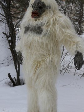 Snow Beast