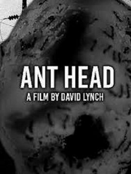 Ant Head