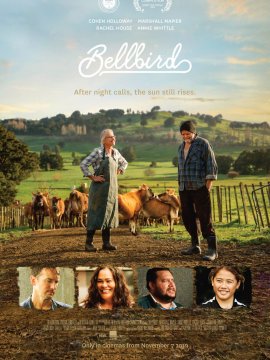 Bellbird