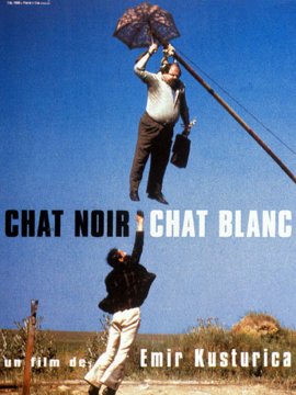 Chat noir, chat blanc