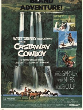 Un Cowboy à Hawaï
