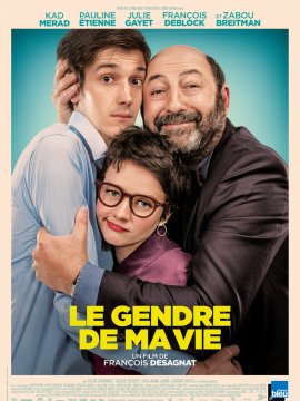 Le Gendre de ma vie