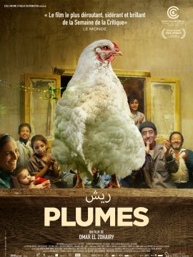 Plumes