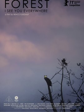 Rengeteg – mindenhol látlak