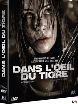 Dans l'oeil du tigre
