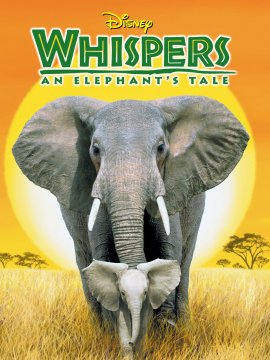 Whispers : An Elephant's Tale