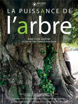 La Puissance de l'arbre avec Ernst Zürcher