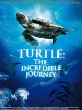 Turtle: The Incredible Journey