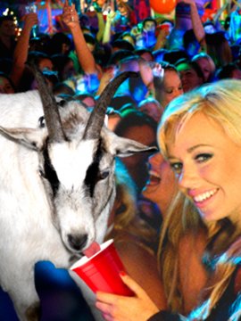 Blue Mountain State: The Rise of Thadland