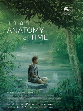 Anatomy of Time