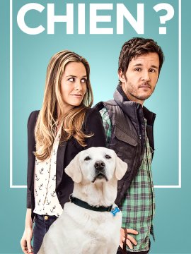 Qui garde le chien ?