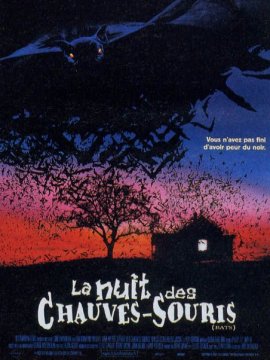 La Nuit des chauves-souris