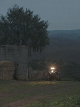 Campo de víboras
