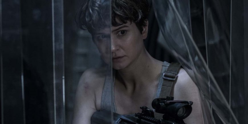 Katherine Waterston dans