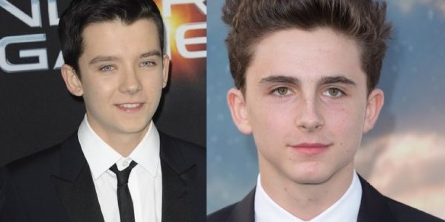 Asa Butterfield et Timothee Chalamet