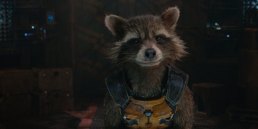 Rocket dans