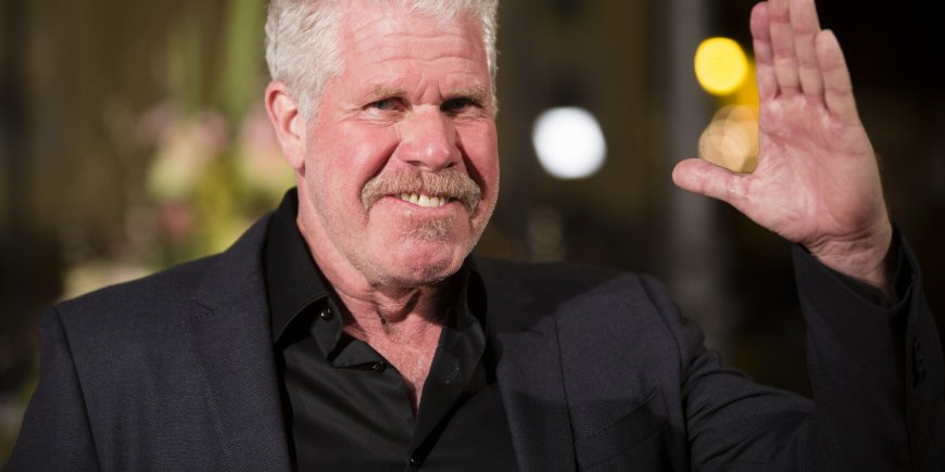 Ron Perlman lors de la 21e édition du Malaga Film Festival, à Malaga, le 15 avril 2018.