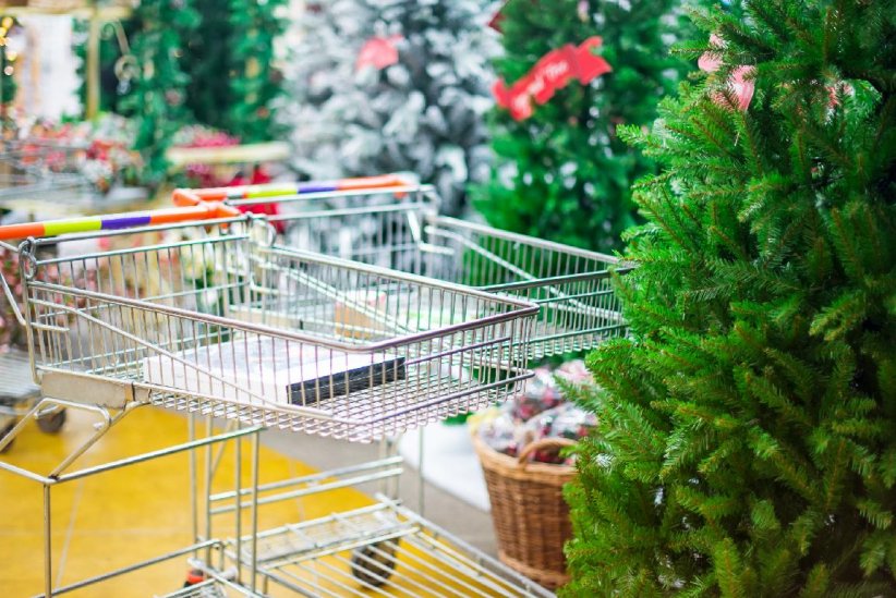 Acheter son sapin de Noël trop tôt Acheter son sapin de Noël trop tôt