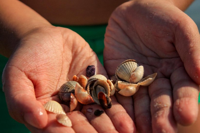 Ne pas nuire à la biodiversité Ne pas nuire à la biodiversité