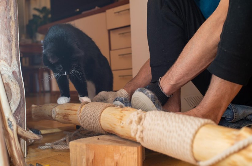 Faire appel à ses talents de bricoleur Faire appel à ses talents de bricoleur