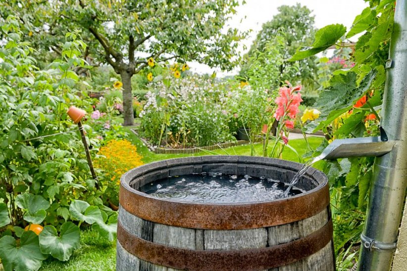 Récupérer l'eau de pluie Récupérer l'eau de pluie