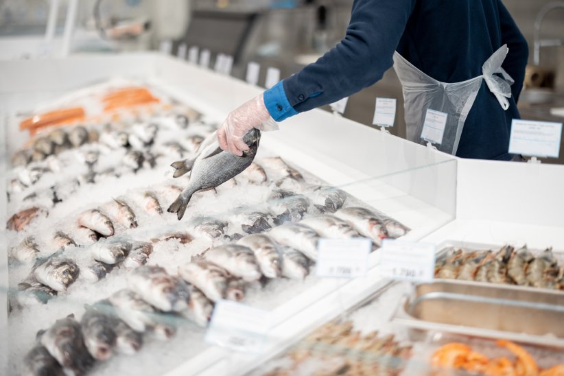Les poissons frais Les poissons frais