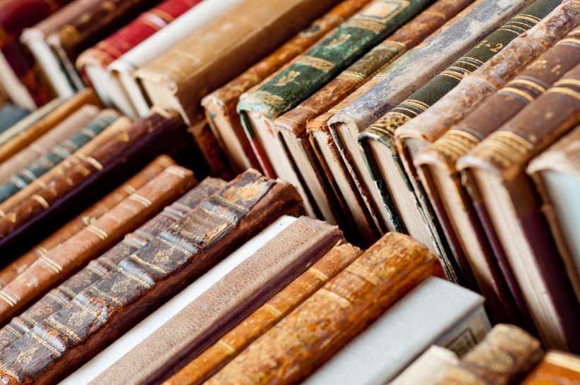 Les livres : des exemplaires anciens plébiscités par les collectionneurs Les livres : des exemplaires anciens plébiscités par les collectionneurs