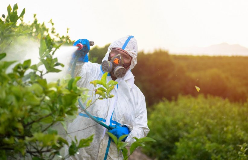 Les origines de l'agriculture biologique Les origines de l'agriculture biologique