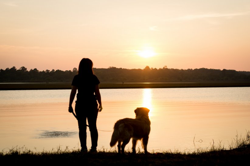 Éviter les heures où le soleil est au plus haut Éviter les heures où le soleil est au plus haut