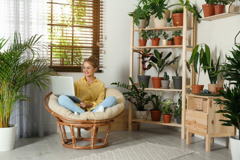 Connaître ses plantes Connaître ses plantes