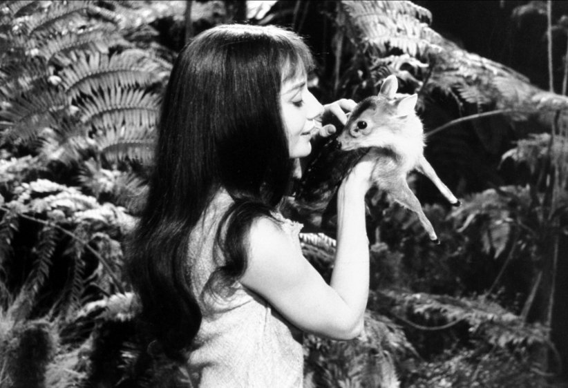 Audrey Hepburn et son faon Audrey Hepburn et son faon