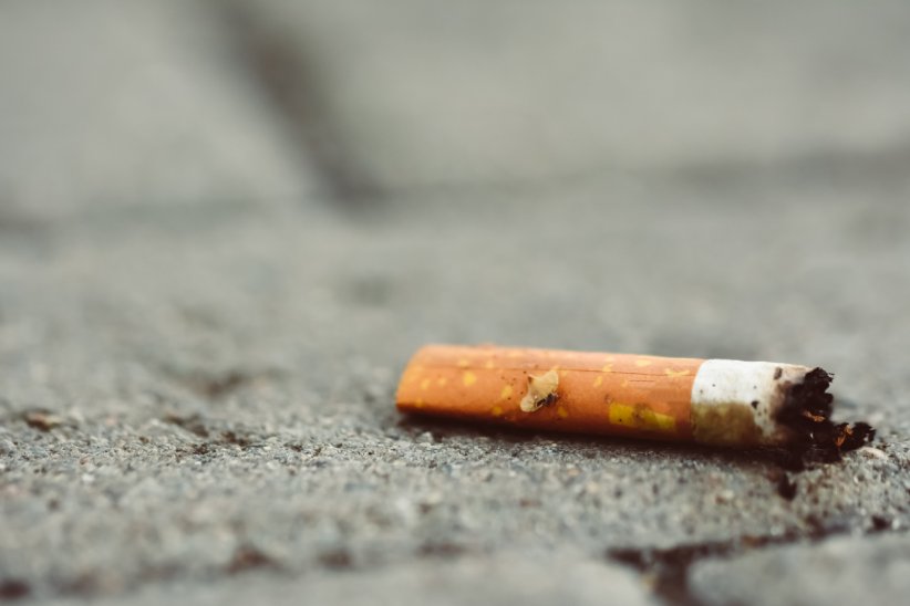 Les mégots de cigarette : 1 à 5 ans Les mégots de cigarette : 1 à 5 ans