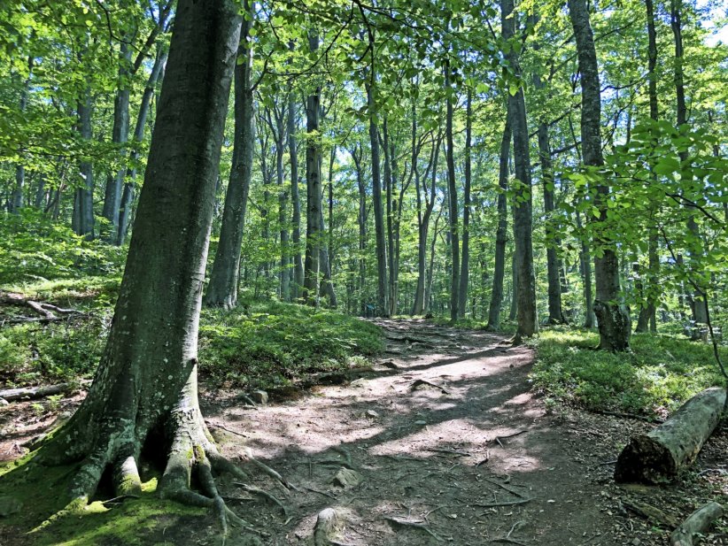 Le parc naturel de Papuk en Croatie Le parc naturel de Papuk en Croatie