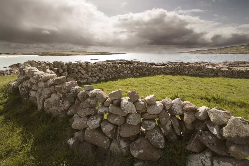 La région du Connemara : des terres sauvages à la nature luxuriante La région du Connemara : des terres sauvages à la nature luxuriante