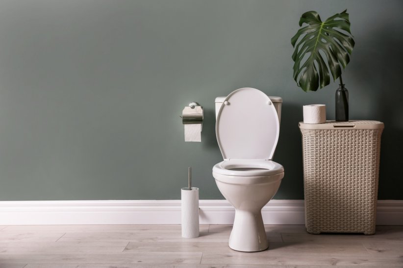 Un gel écolo pour vos toilettes Un gel écolo pour vos toilettes