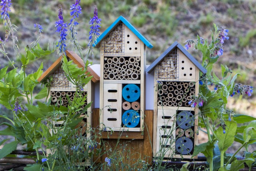 Construire un hôtel à insectes Construire un hôtel à insectes