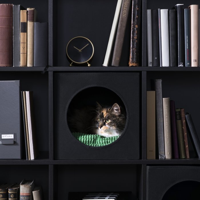 Un caisson pour chat qui s'intègre à un meuble de rangement Un caisson pour chat qui s'intègre à un meuble de rangement