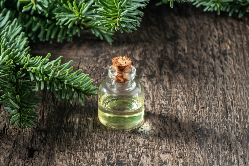 L'huile essentielle de sapin de Sibérie L'huile essentielle de sapin de Sibérie