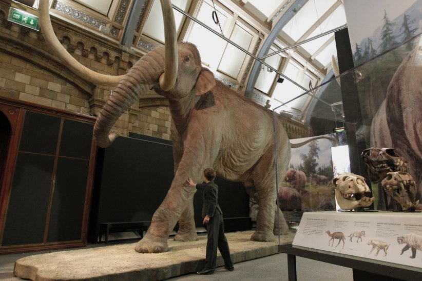 Le Natural History Museum de Londres Le Natural History Museum de Londres