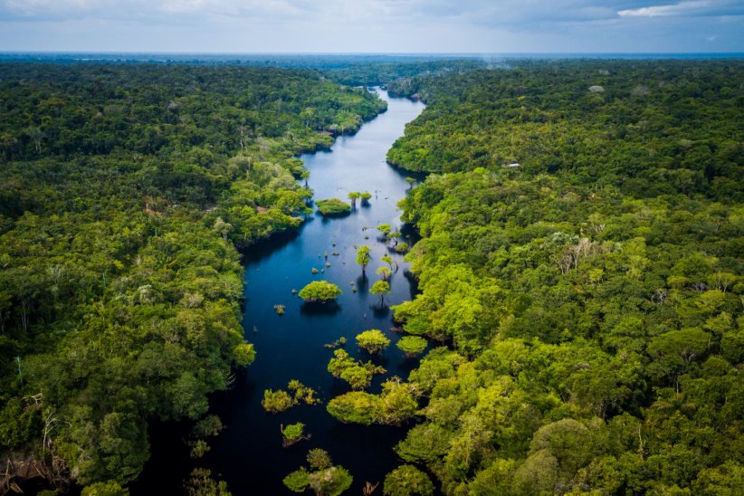 Elles abritent 80% de la biodiversité Elles abritent 80% de la biodiversité