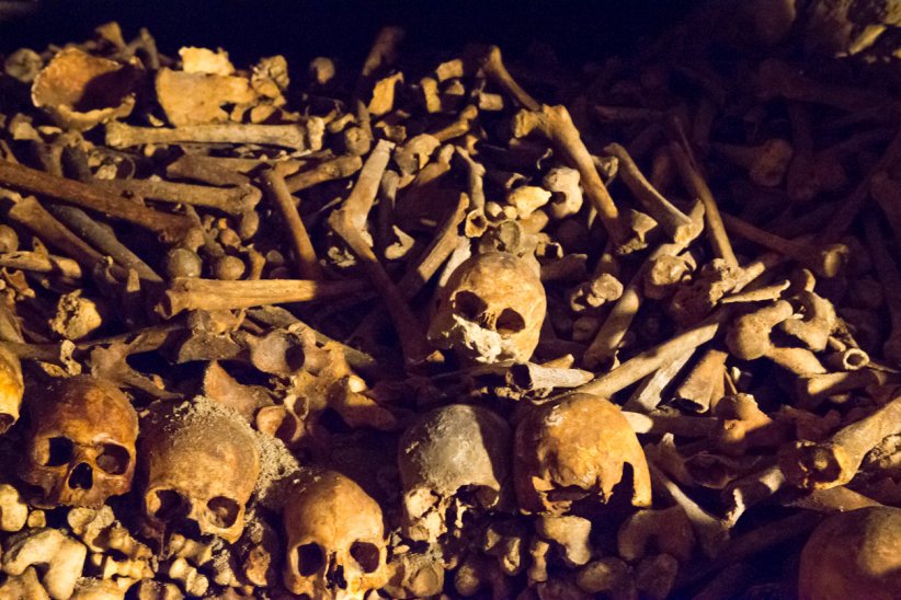 La grippe espagnole La grippe espagnole