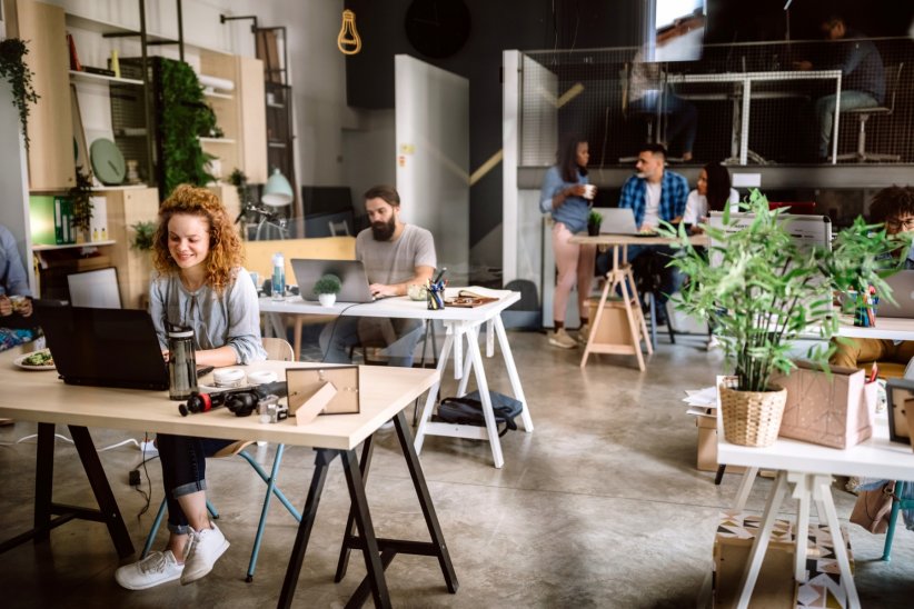 Installer une plante dépolluante dans son bureau Installer une plante dépolluante dans son bureau