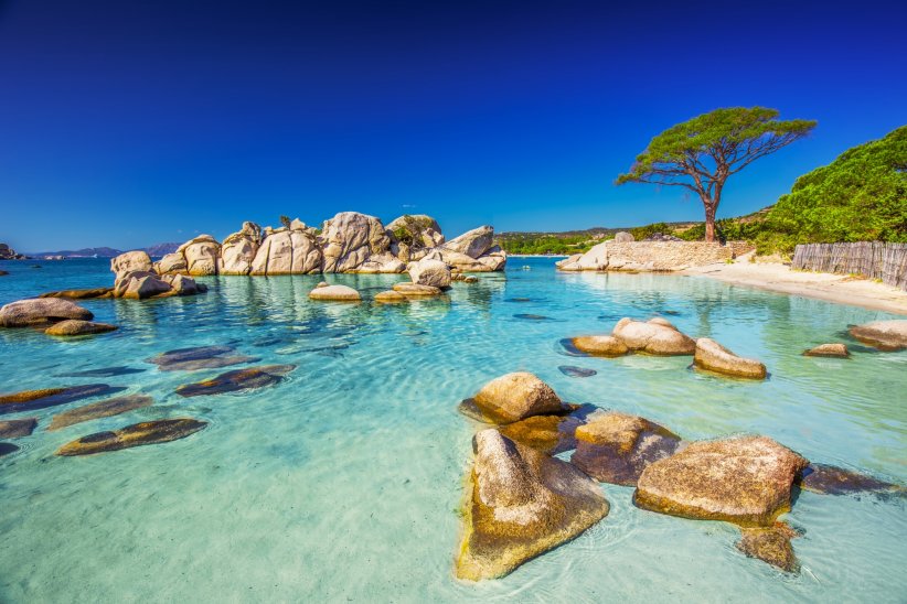 Corse : l'île de Beauté du nord au sud Corse : l'île de Beauté du nord au sud