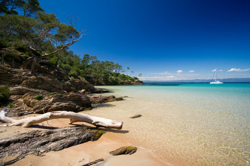 Porquerolles, la bulle méditerranéenne Porquerolles, la bulle méditerranéenne