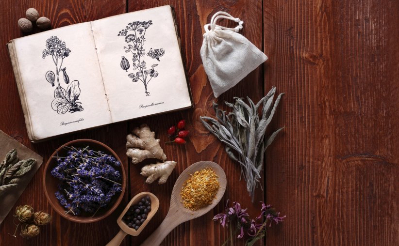 Un livre sur les plantes médicinales Un livre sur les plantes médicinales