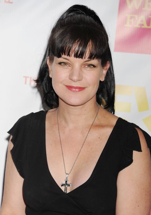 Pauley Perrette : agressée par un SDF Pauley Perrette : agressée par un SDF