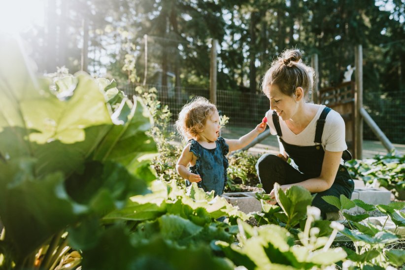 Sensibiliser les enfants à la beauté de la nature Sensibiliser les enfants à la beauté de la nature