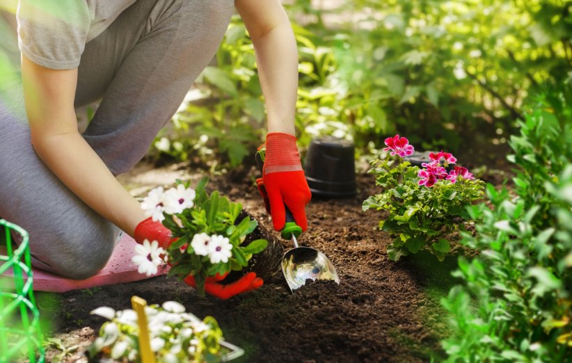 Planter différentes sortes de fleurs Planter différentes sortes de fleurs