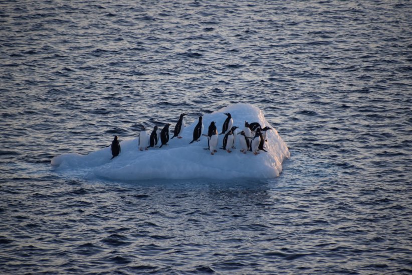 Des gigatonnes de glace déjà perdues et ça ne s'arrête plus Des gigatonnes de glace déjà perdues et ça ne s'arrête plus