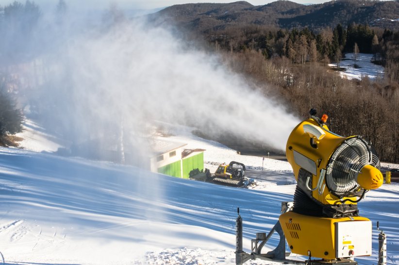 Un impact sur la végétation en montagne Un impact sur la végétation en montagne